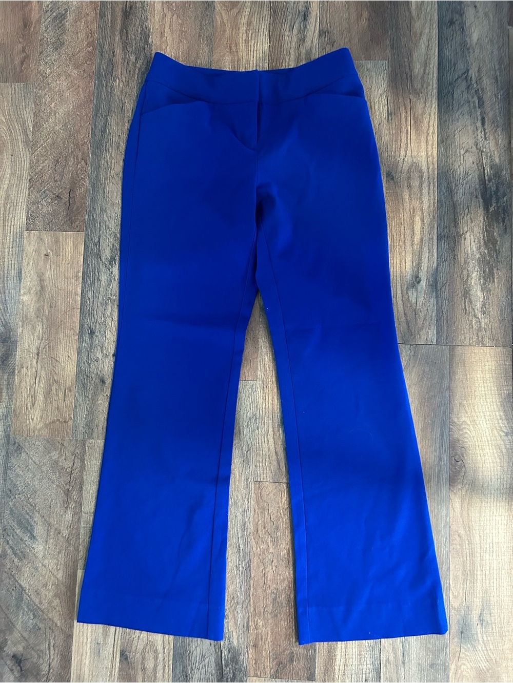 New York & Company Cobalt Blue Stretch Pants